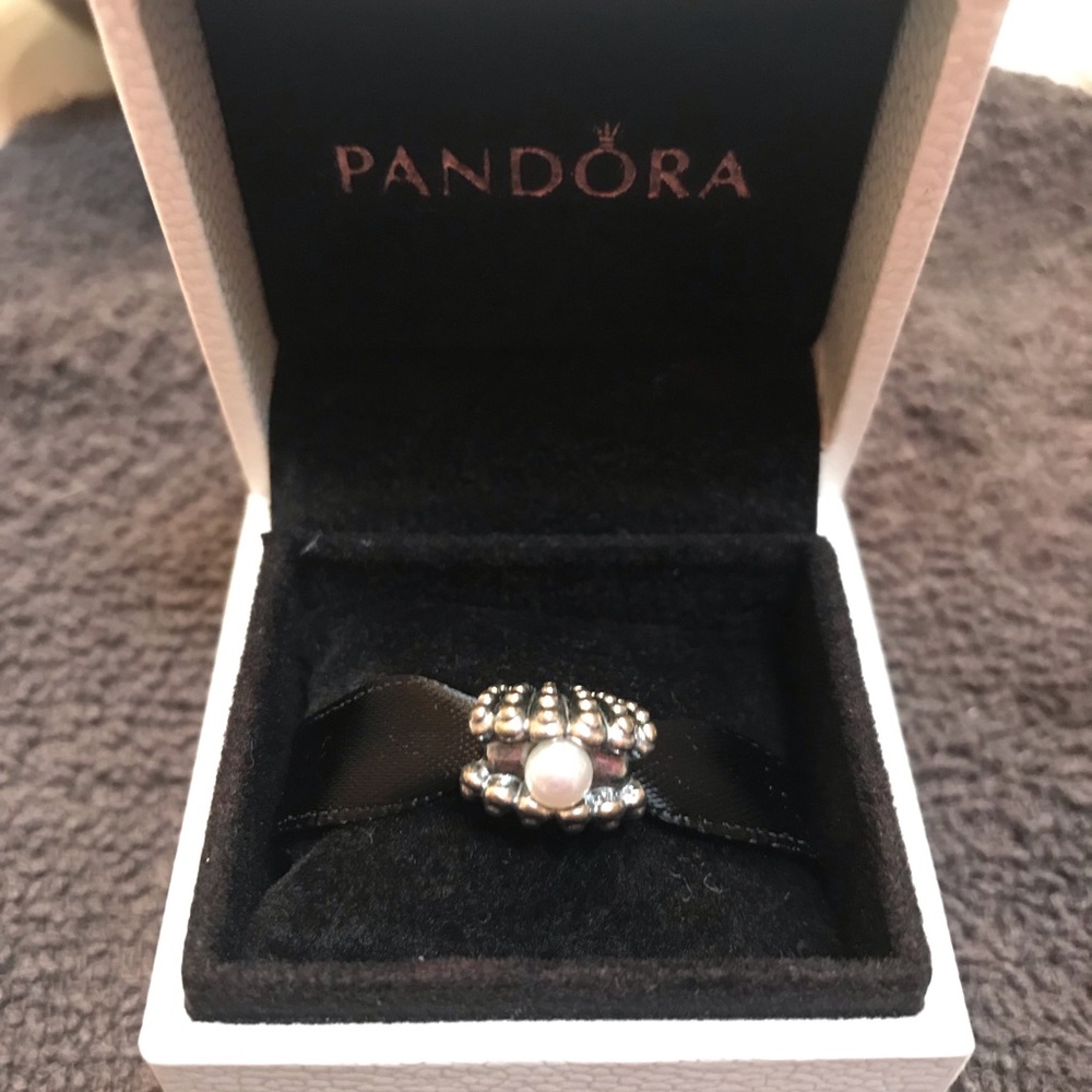 Pandora bracelet charm